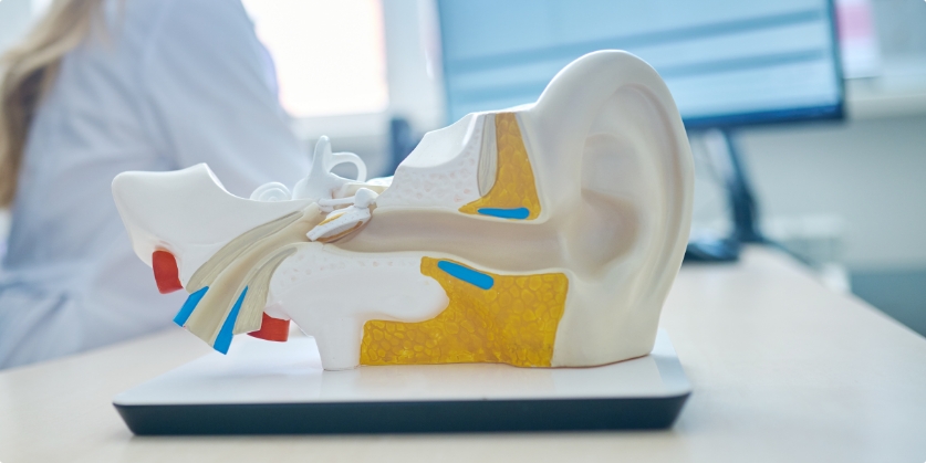 Creel Hearing Center Blog
